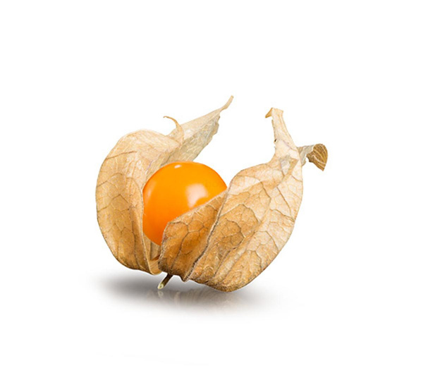 Produktfoto zu Ananskirsche (Physalis)
