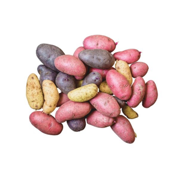 Produktfoto zu bunter Frühkartoffelmix (blau,rot,gelb)