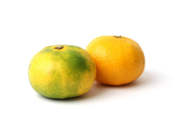 Produktfoto zu Satsuma grünlich