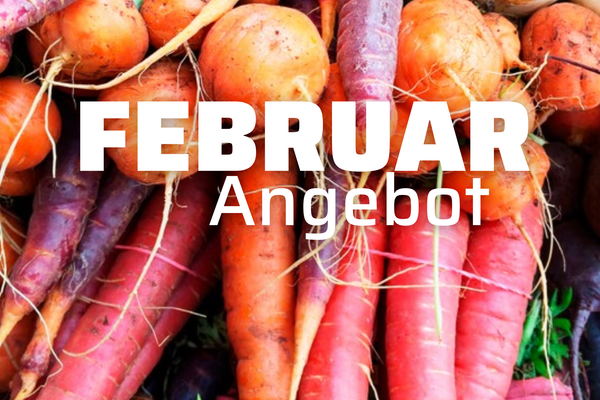 KI generiert: Das Bild zeigt eine bunte, frische Salatschüssel mit verschiedenen Gemüsesorten auf einem grünen Hintergrund. Auf der linken Seite befindet sich der Schriftzug "Veganuary".