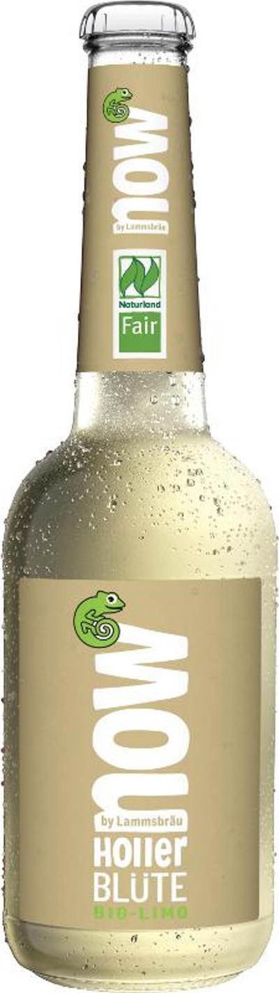 Produktfoto zu now Holler Blüte