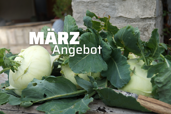 KI generiert: Das Bild zeigt eine Tee-Anordnung mit einer Glasteekanne, einer Tasse Tee und verschiedenen Kräutern und Blumen auf einem Schieferbrett. Der Text "Wellness für den Jahresstart" ist darauf platziert und betont einen entspannten, gesundheitsfördernden Beginn des Jahres.