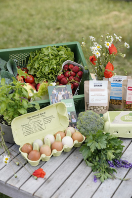 KI generiert: Frische Lebensmittel auf einem Tisch: Obst, Gemüse, Eier und Produkte vom Biohof Sharf mit Kräuterstrauß.