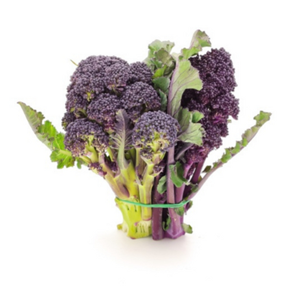 Produktfoto zu Sprossen Brokkoli Violett
